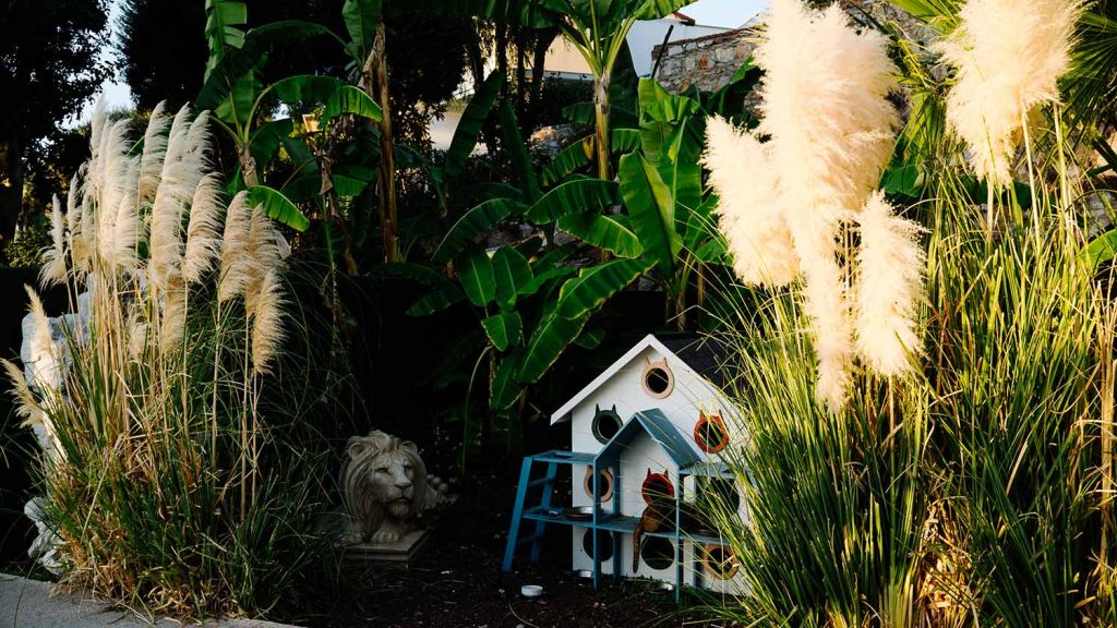 TUI Magic Life Bodrum an der türkischen Ägäis mit Meerblick und weitläufiger Anlage