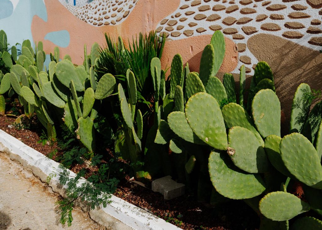 UI Magic Life Bodrum an der türkischen Ägäis mit Meerblick und weitläufiger Anlage